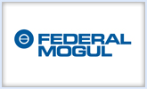 Federal Mogul - Differential Brand